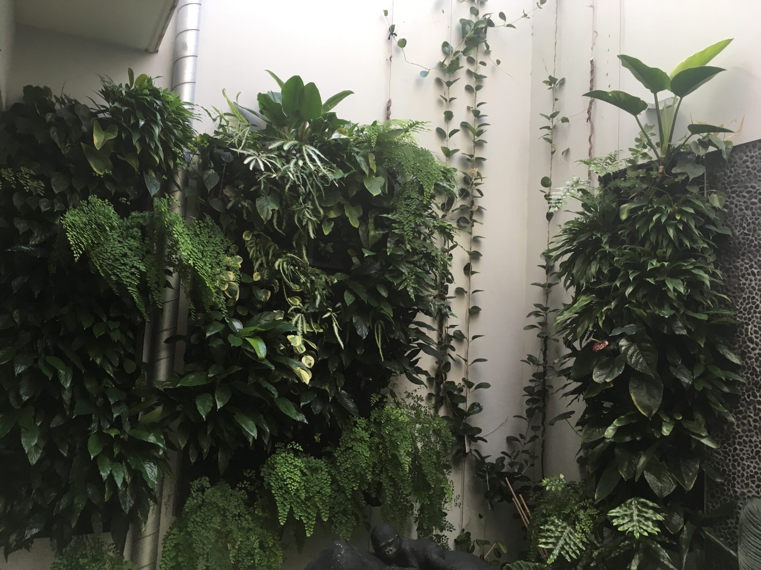 A custom vertical garden installation